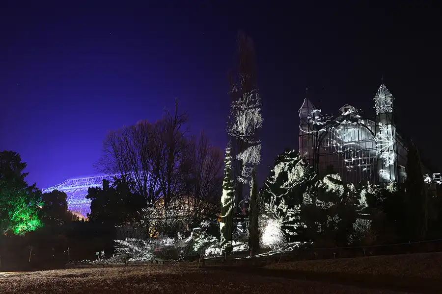 029 | 2016 | Berlin | Christmas Garden – Botanischer Garten | © carsten riede fotografie