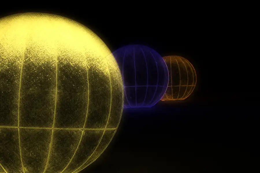 036 | 2016 | Berlin | Christmas Garden – Botanischer Garten | © carsten riede fotografie