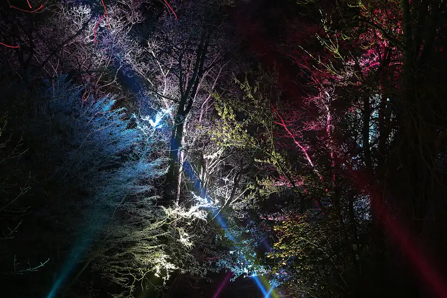 039 | 2016 | Berlin | Christmas Garden – Botanischer Garten | © carsten riede fotografie