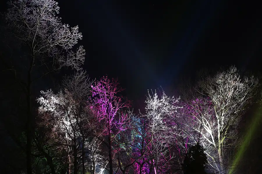 041 | 2016 | Berlin | Christmas Garden – Botanischer Garten | © carsten riede fotografie