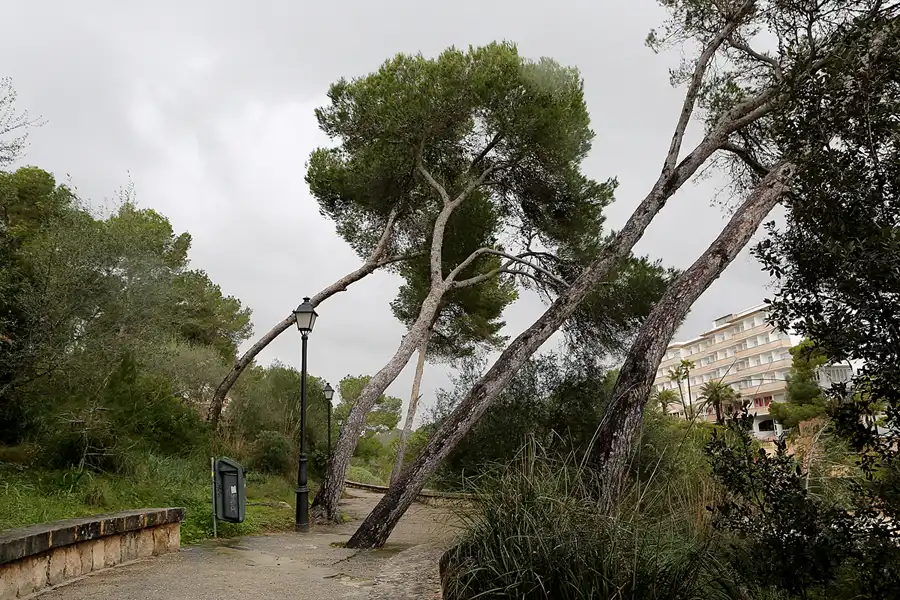 043 | 2016 | Cala Santanyi | © carsten riede fotografie