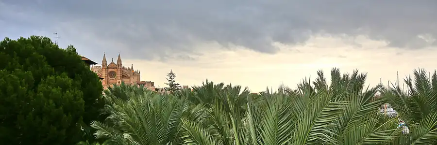 061 | 2016 | Palma De Mallorca | © carsten riede fotografie