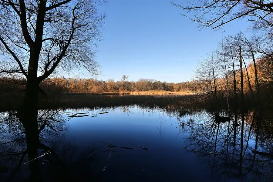 176 | 2017 | Berlin | Rund um das NSG Fauler See | © carsten riede fotografie