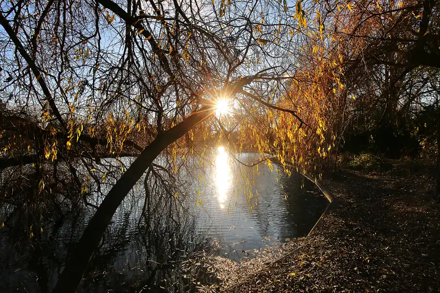 182 | 2017 | Berlin | Obersee-Orankesee-Park | © carsten riede fotografie