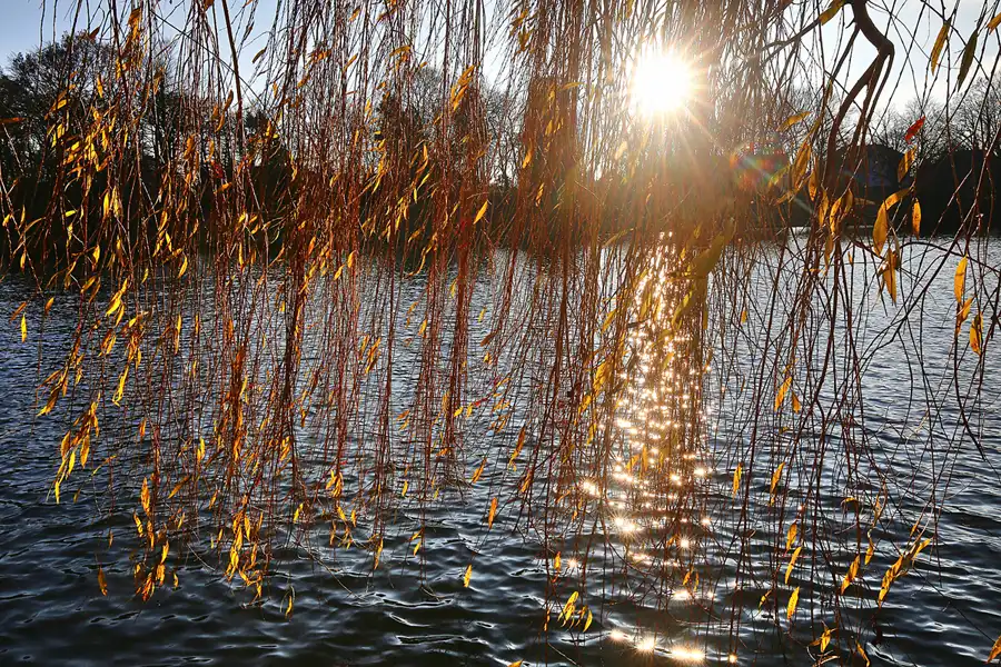 184 | 2017 | Berlin | Obersee-Orankesee-Park | © carsten riede fotografie