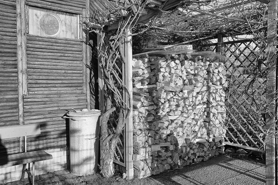 185 | 2017 | Berlin | Obersee-Orankesee-Park | © carsten riede fotografie