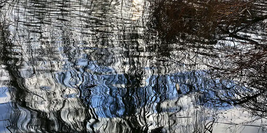 188 | 2017 | Berlin | Obersee-Orankesee-Park | © carsten riede fotografie