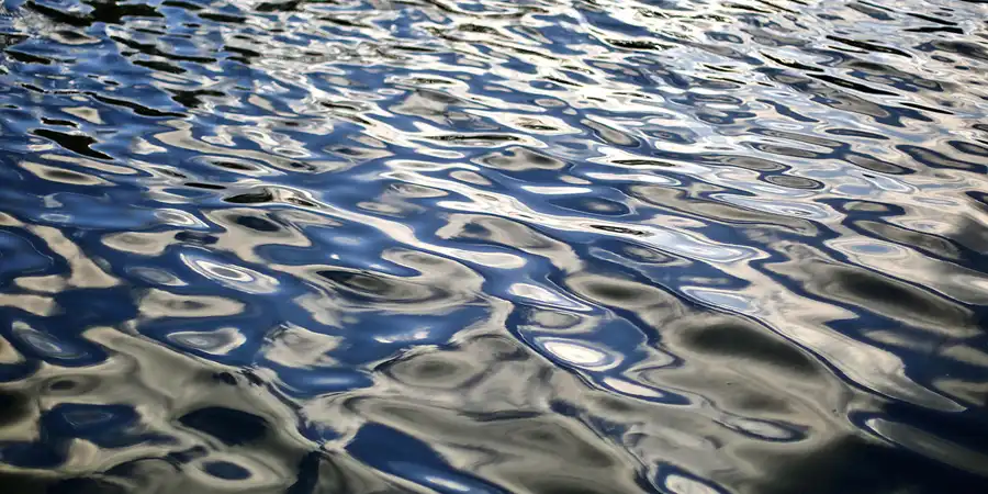 189 | 2017 | Berlin | Obersee-Orankesee-Park | © carsten riede fotografie