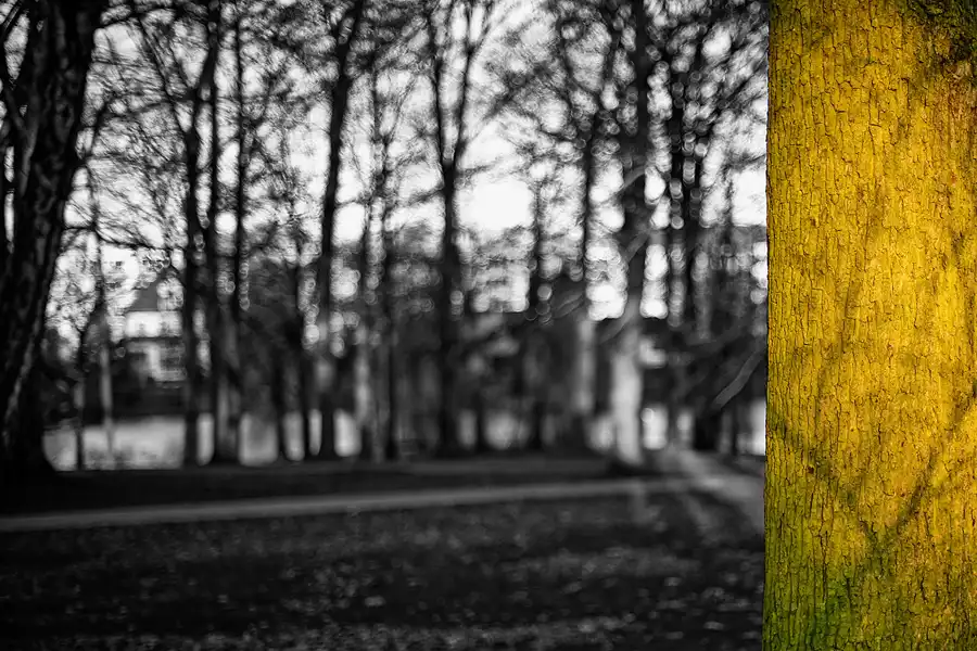195 | 2017 | Berlin | Obersee-Orankesee-Park | © carsten riede fotografie