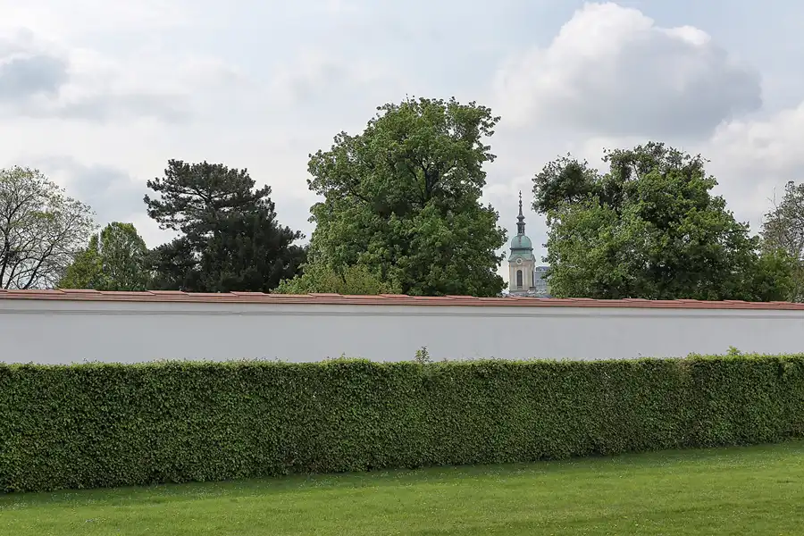 206 | 2017 | Wien | © carsten riede fotografie