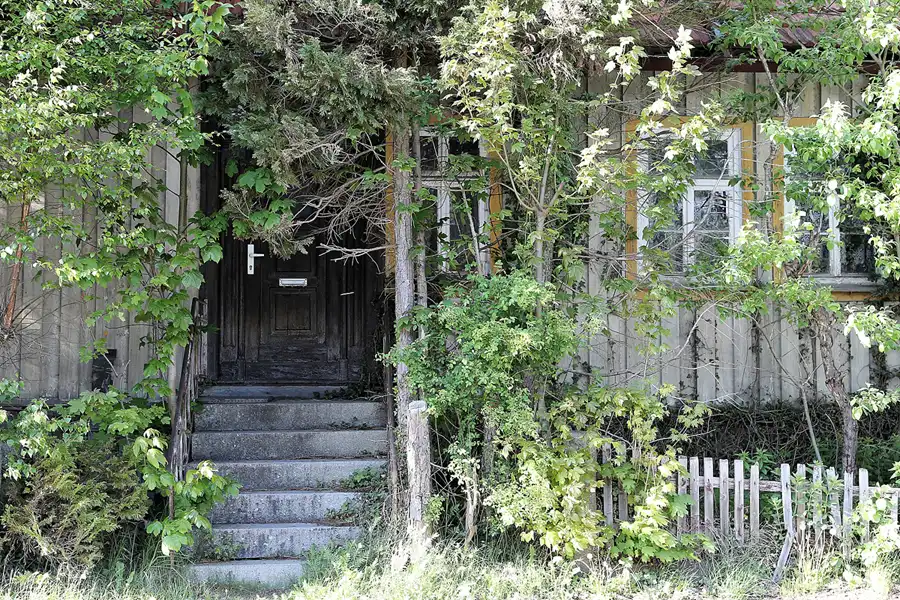 016 | 2017 | Schierke | © carsten riede fotografie