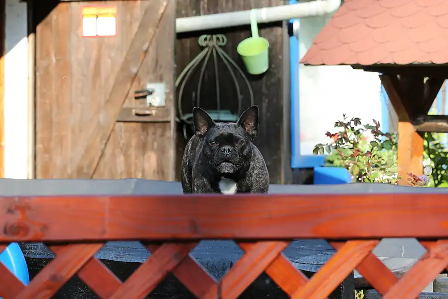 024 | 2017 | Schierke | © carsten riede fotografie