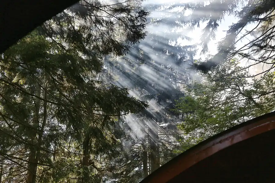 116 | 2017 | Harz | Brockenbahn | © carsten riede fotografie