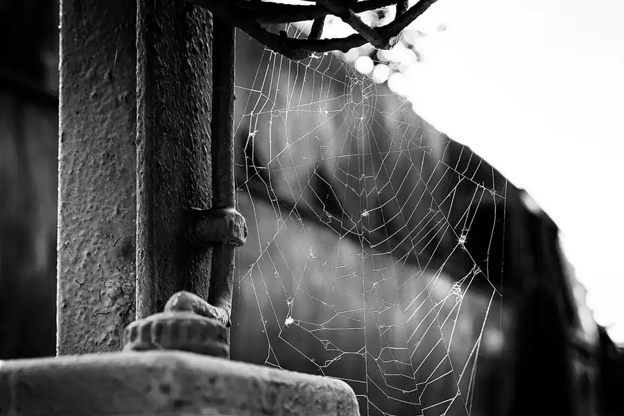 110 | 2017 | Falkenberg/Elster | Loksammlung Falkenberg | © carsten riede fotografie