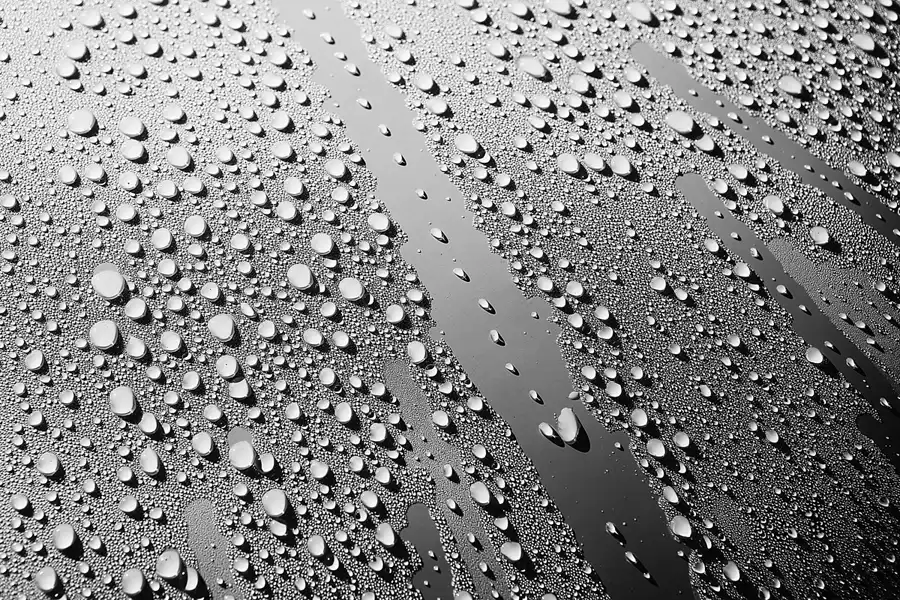 047 | 2017 | Berlin | Classic Remise | © carsten riede fotografie