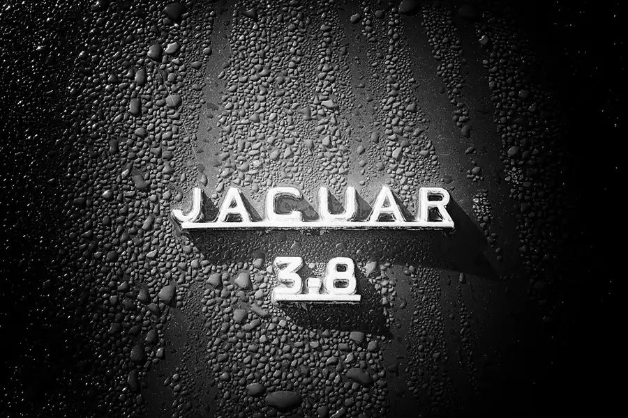 048 | 2017 | Berlin | Classic Remise | © carsten riede fotografie