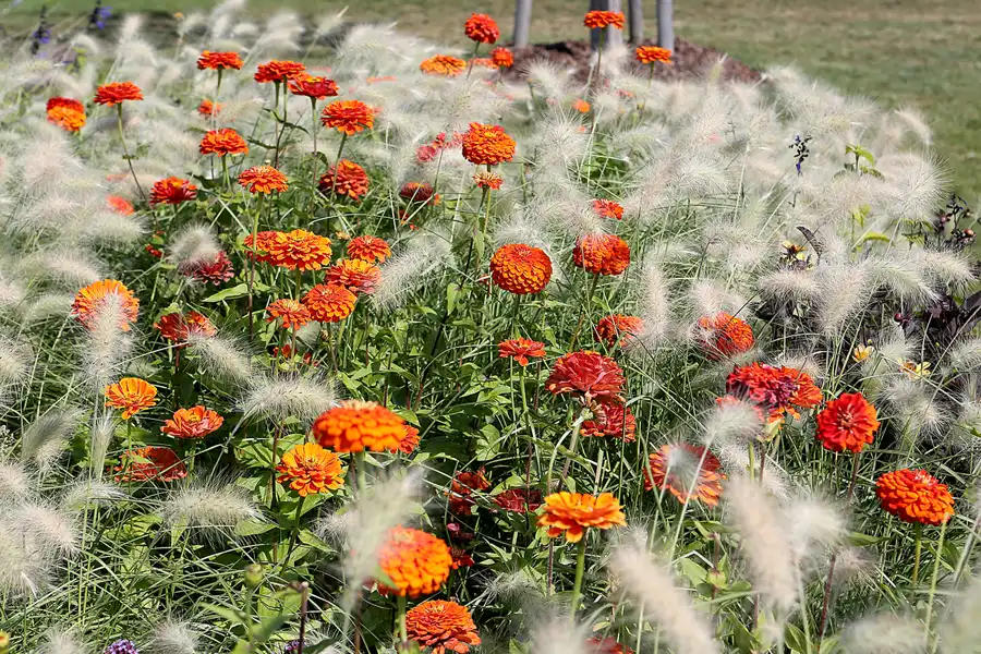 013 | 2017 | Berlin | IGA 2017 – Internationale Gartenausstellung | © carsten riede fotografie