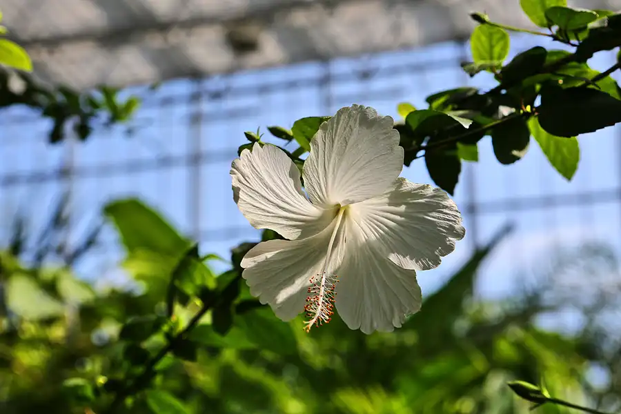 030 | 2017 | Berlin | IGA 2017 – Internationale Gartenausstellung | © carsten riede fotografie