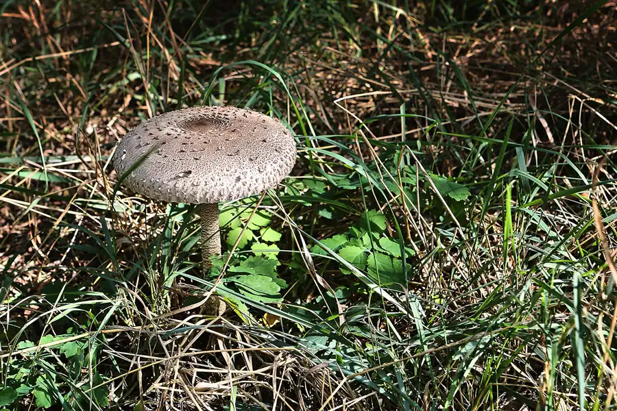 080 | 2017 | Chernobyl Zone | © carsten riede fotografie