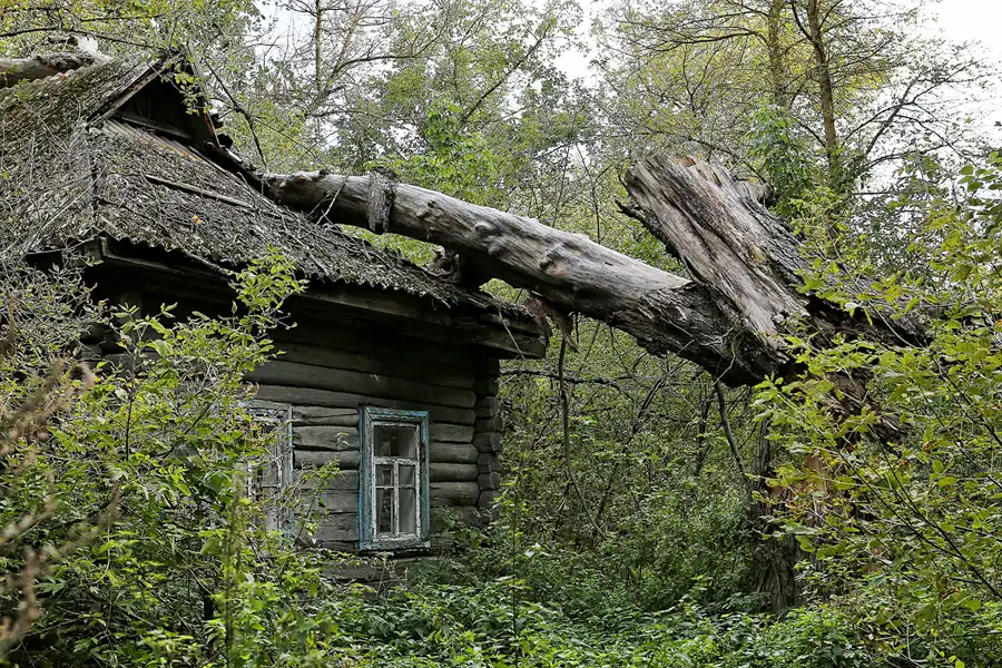 099 | 2017 | Chernobyl Zone | © carsten riede fotografie