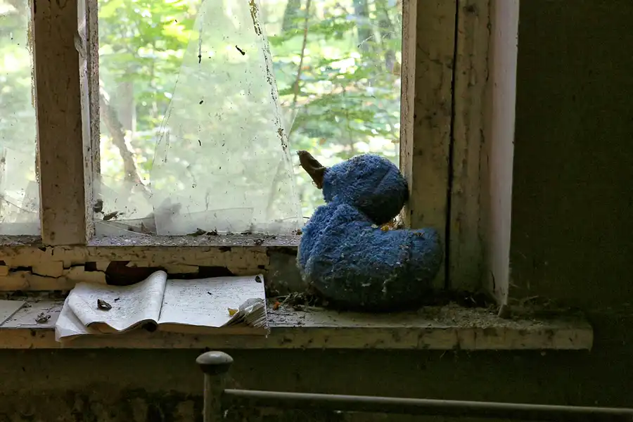 174 | 2017 | Chernobyl Zone | © carsten riede fotografie