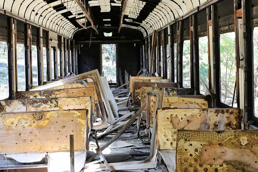 219 | 2017 | Chernobyl Zone | © carsten riede fotografie