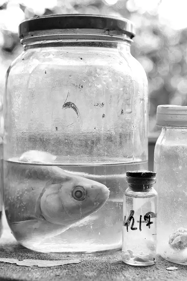 016 | 2017 | Chernobyl Zone | © carsten riede fotografie