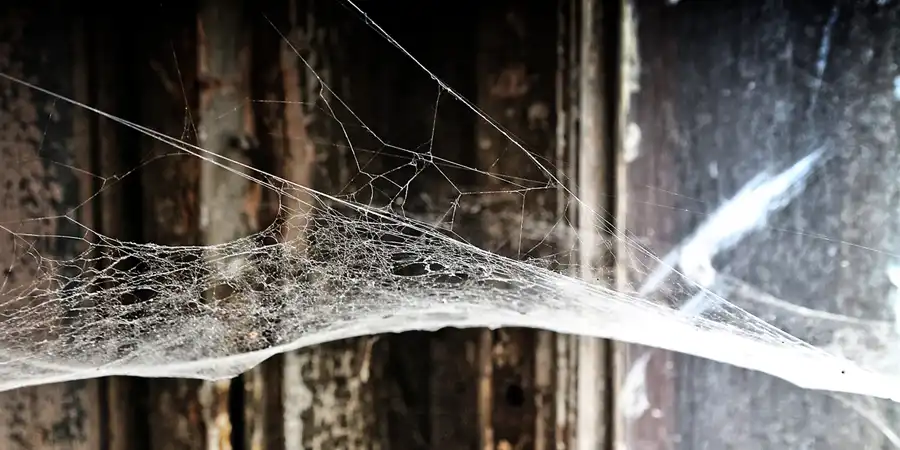 015 | 2017 | Krowiarki | Schloss Polnisch Krawarn | © carsten riede fotografie