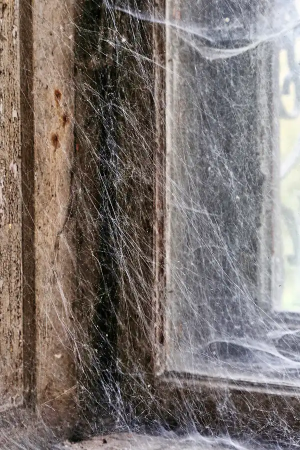 016 | 2017 | Krowiarki | Schloss Polnisch Krawarn | © carsten riede fotografie