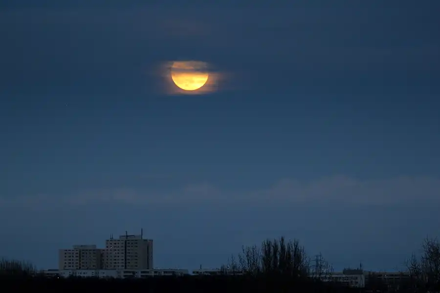 007 | 2018 | Berlin | Volkspark Prenzlauer Berg – Supermond – Blue Moon | © carsten riede fotografie