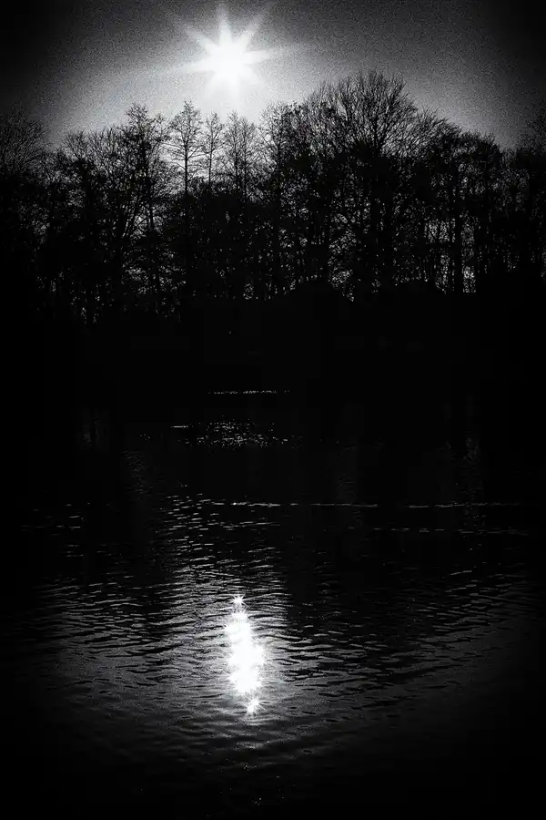 009 | 2018 | Berlin | Obersee-Orankesee-Park | © carsten riede fotografie