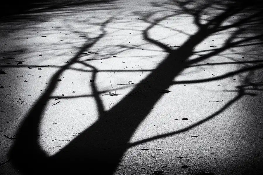 014 | 2018 | Berlin | Obersee-Orankesee-Park | © carsten riede fotografie