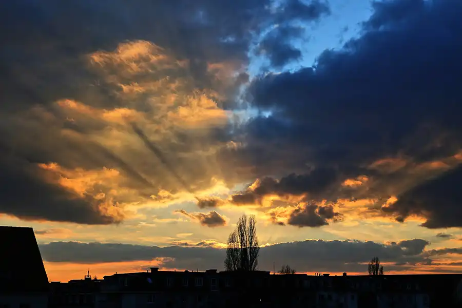 018 | 2018 | Berlin | © carsten riede fotografie