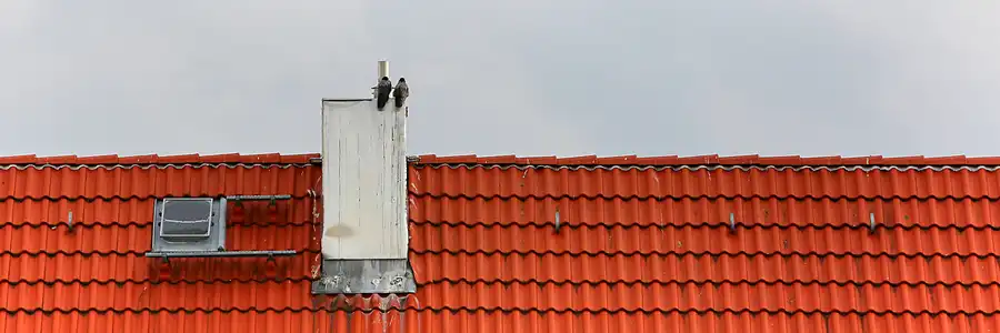 046 | 2018 | Berlin | © carsten riede fotografie