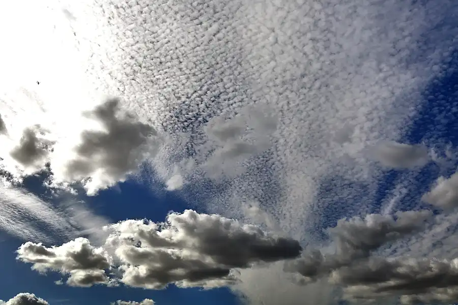 050 | 2018 | Berlin | © carsten riede fotografie