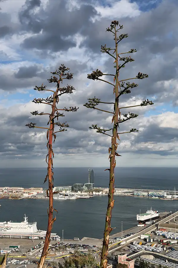 051 | 2018 | Barcelona | Blick vom Montjuic | © carsten riede fotografie