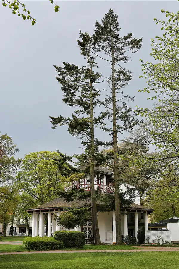 017 | 2018 | Bad Doberan | © carsten riede fotografie