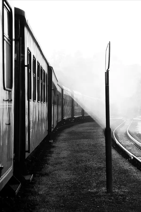 033 | 2018 | Bad Doberan | Mecklenburgische Bäderbahn Molli | © carsten riede fotografie
