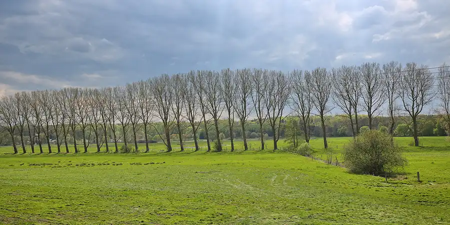 037 | 2018 | Bad Doberan | © carsten riede fotografie