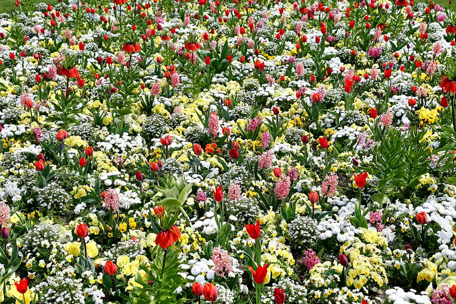 099 | 2018 | Kühlungsborn | © carsten riede fotografie