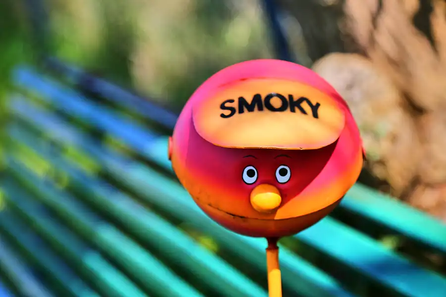 116 | 2018 | Wustrow | © carsten riede fotografie