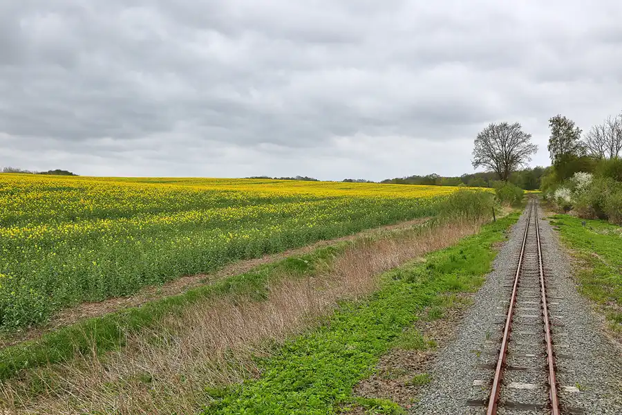 127 | 2018 | Reppenhagen – Klütz | © carsten riede fotografie