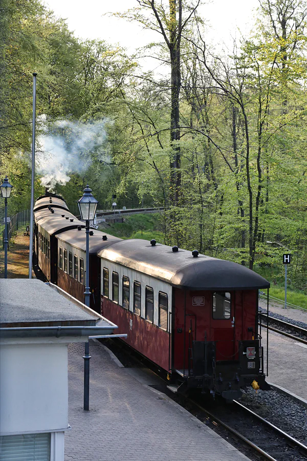 084 | 2018 | Heiligendamm | Mecklenburgische Bäderbahn Molli | © carsten riede fotografie