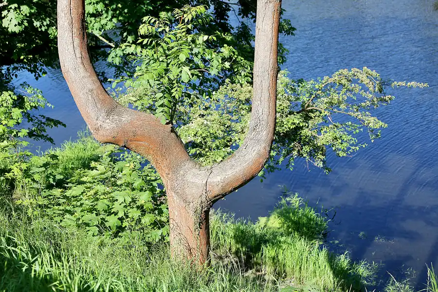 005 | 2018 | Kostrzyn nad Odrą | © carsten riede fotografie