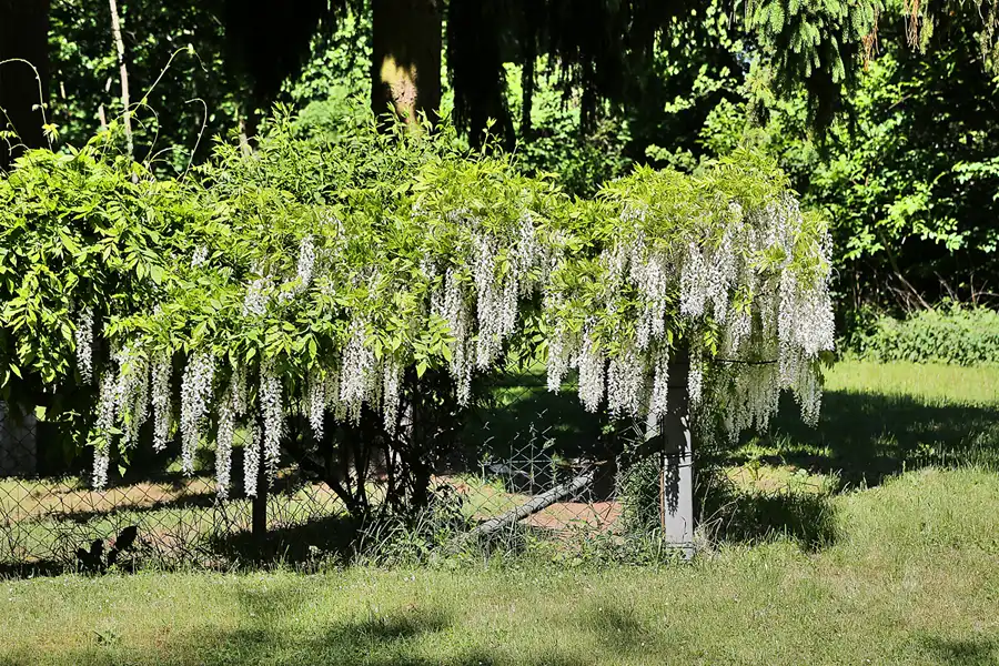 049 | 2018 | Küstrin-Kietz | © carsten riede fotografie