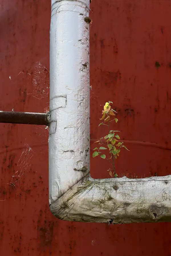 017 | 2018 | Piensk | Glashüttenwerk Lucyna | © carsten riede fotografie