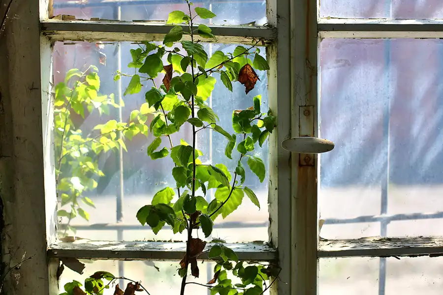 050 | 2018 | Piensk | Glashüttenwerk Lucyna | © carsten riede fotografie