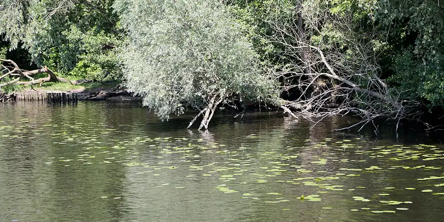 010 | 2018 | Berlin | © carsten riede fotografie