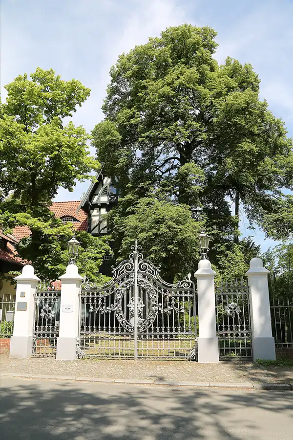 068 | 2018 | Berlin | Am grossen Wannsee | © carsten riede fotografie