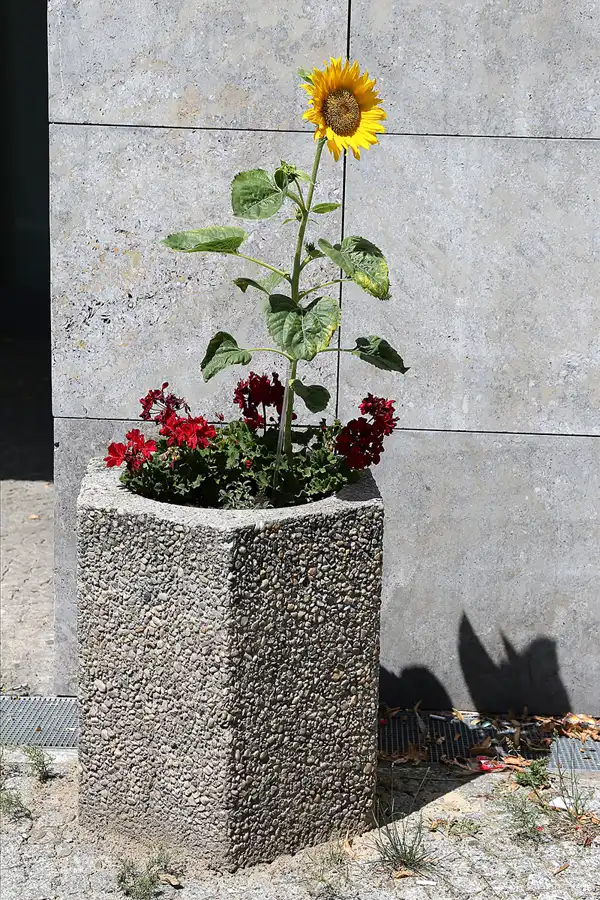 019 | 2018 | Berlin | Friedenstrasse | © carsten riede fotografie